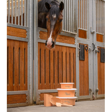 Mashlepel Waldhausen Perzik Roze