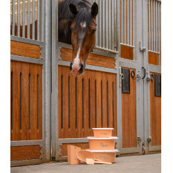 Pelle à grain Waldhausen Pêche Rose