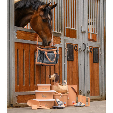 Brosse Waldhausen Flex crin de cheval Pêche Rose