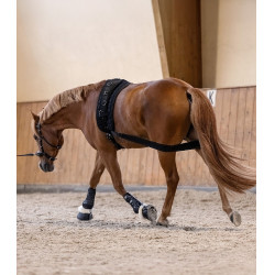 Waldhausen Memory Foam Pro peesbeschermers Zwart