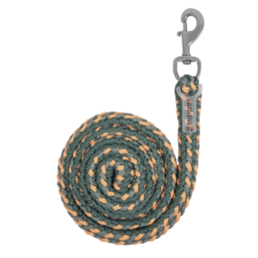 Longe de licol Waldhausen Plus mousqueton Vert pin / pêche / gris chrome