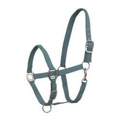 Licol Waldhausen Satin Vert pin Licol Waldhausen Satin Vert pin