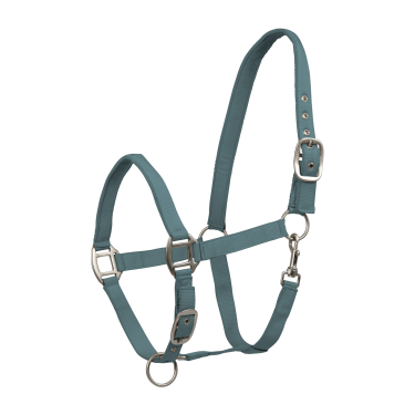 Licol Waldhausen Satin Vert pin Licol Waldhausen Satin Vert pin