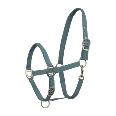 Licol Waldhausen Satin Vert pin Licol Waldhausen Satin Vert pin