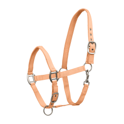 Licol Waldhausen Satin Pêche Rose