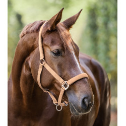 Licol Waldhausen Satin Pêche Rose