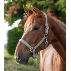 Halter Waldhausen Satin Chroomgrijs