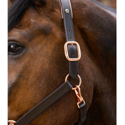 Roze leren halster Waldhausen X-Line Bruin Roze leren halster Waldhausen X-Line Bruin