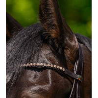 Frontal X-Line Waldhausen Glam Marron / pêche