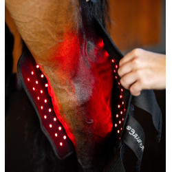 Horseware LED roodlicht therapeutische spronggewricsbeschermers Zwart / zwart