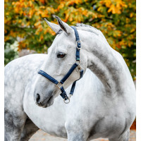 Licol de Pansage Horseware Marine Bleu marine