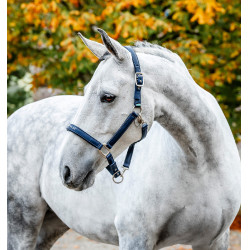 Licol de Pansage Horseware Marine Bleu marine