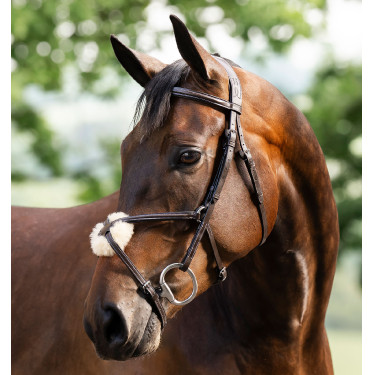 Bridon Grackle en forme de 8 Horseware muserolle croisée Marron