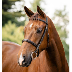 Hoofdstel Horseware Hunter Bruin / havane