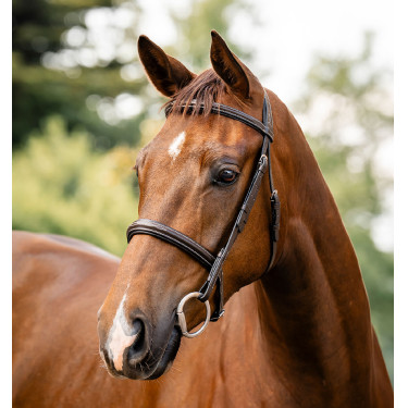 Hoofdstel Horseware Hunter Bruin / havane