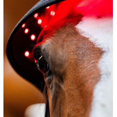 Roodlicht-LED-therapiebont Horseware Zwart / zwart