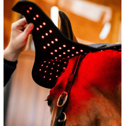 Roodlicht-LED-therapiebont Horseware Zwart / zwart