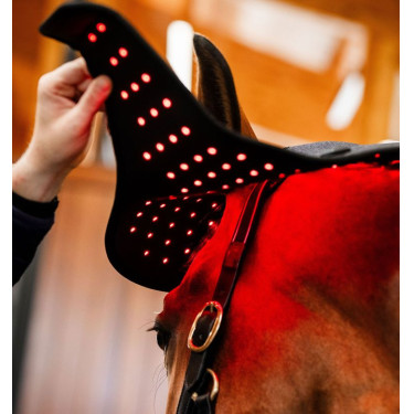 Roodlicht-LED-therapiebont Horseware Zwart / zwart