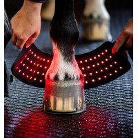 Mini therapeutische beenbeschermer van Horseware met rood LED-licht Zwart / zwart