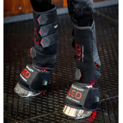 Mini therapeutische beenbeschermer van Horseware met rood LED-licht Zwart / zwart