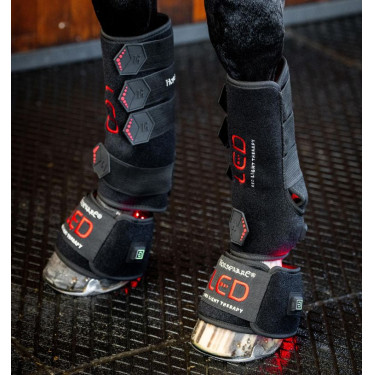 Mini therapeutische beenbeschermer van Horseware met rood LED-licht Zwart / zwart