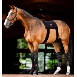 Horseware LED-lichttherapiedeken Zwart / zwart