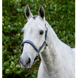 Horseware poetshalster Marine Marineblauw