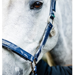 Licol de Pansage Horseware Marine Bleu marine