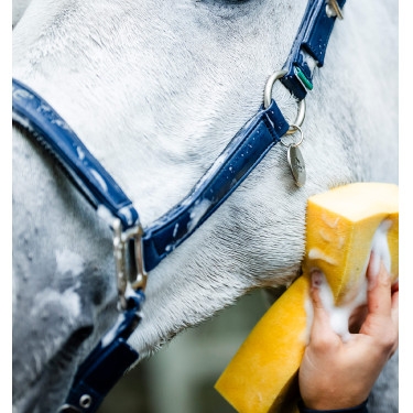 Licol de Pansage Horseware Marine Bleu marine