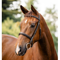 Bridon Horseware Hunter Marron / havane