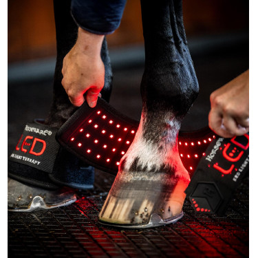 Mini therapeutische beenbeschermer van Horseware met rood LED-licht Zwart / zwart