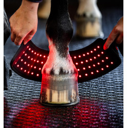 Mini Guêtre de Thérapie Horseware par Lumière Rouge LED Noir / noir