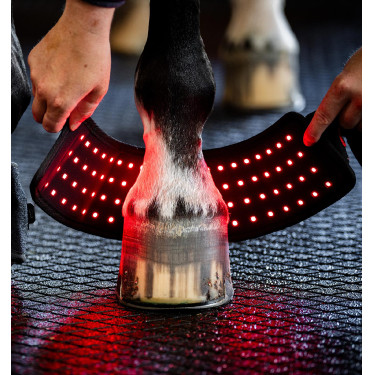 Mini therapeutische beenbeschermer van Horseware met rood LED-licht Zwart / zwart