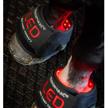 Mini therapeutische beenbeschermer van Horseware met rood LED-licht Zwart / zwart