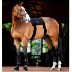 Mini therapeutische beenbeschermer van Horseware met rood LED-licht Zwart / zwart