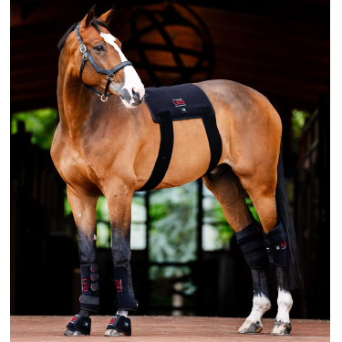 Mini therapeutische beenbeschermer van Horseware met rood LED-licht Zwart / zwart