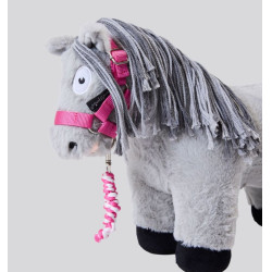 Licol et Longe Horseware pour Crafty Ponies Rose witney