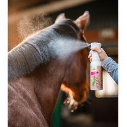 Démêlant naturel Bense & Eicke Natural Finish