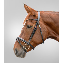 Hoofdstel Star rosegoud Zwart