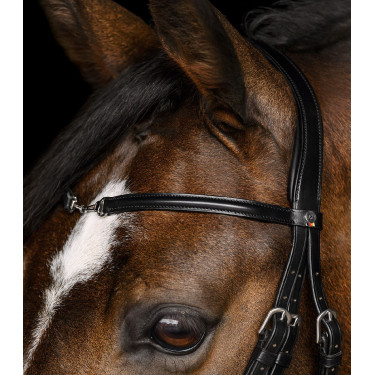 Waldhausen X-Line Charmbit hoofdstel Zwart