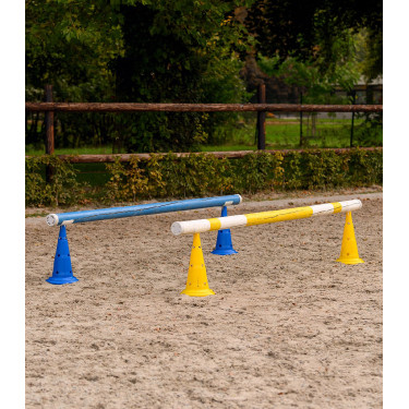 Fiches d'obstacles Waldhausen pour pylônes par 4 Blanc Fiches d'obstacles Waldhausen pour pylônes par 4 Blanc