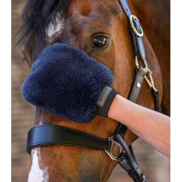Gant de pansage Waldhausen peau d'agneau Lucky Bleu nocturne / lucky