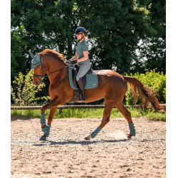 Guêtres de dressage Waldhausen Air Performance Vert pin