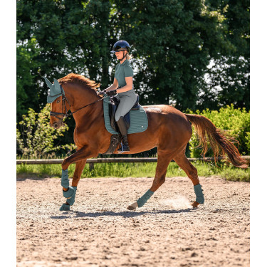 Guêtres de dressage Waldhausen Air Performance Vert pin