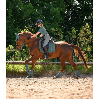 Guêtres de dressage Waldhausen Air Performance Vert pin
