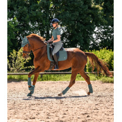 Guêtres de dressage Waldhausen Air Performance Vert pin