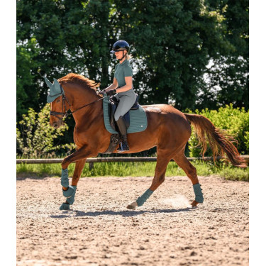 Guêtres de dressage Waldhausen Air Performance Vert pin