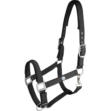 Licol Waldhausen Trinidad Noir