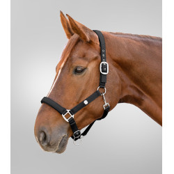 Licol Waldhausen Trinidad Noir
