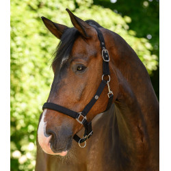 Halster Waldhausen Trinidad Zwart